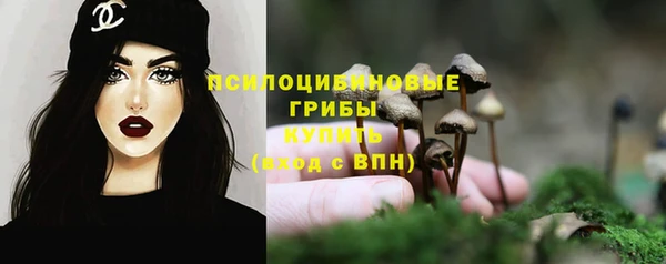 твердый Белоозёрский