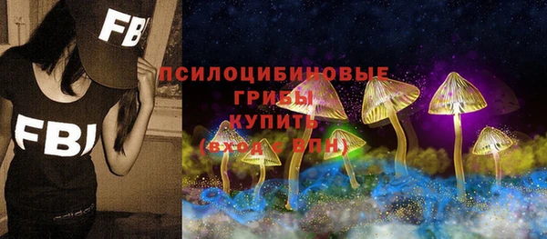 не бодяженный Белокуриха