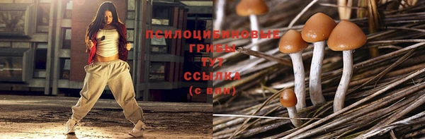 твердый Белоозёрский