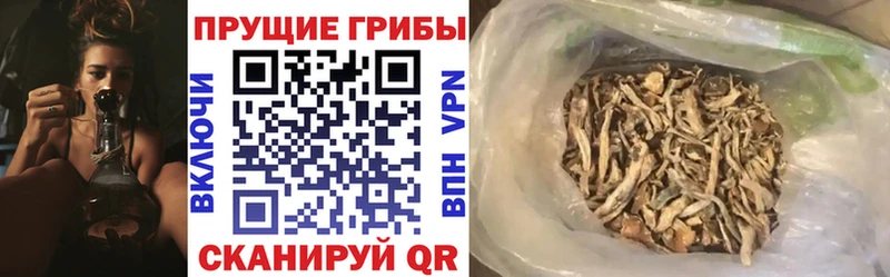 Псилоцибиновые грибы Magic Shrooms  Новотитаровская 
