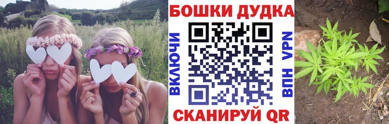 Марихуана SATIVA & INDICA  Новотитаровская 